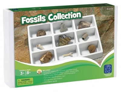 GeoSafari  Колекция вкаменелости, 9 броя