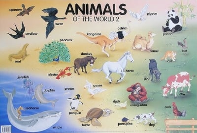 Табло Англ.език “Animals of the world 2“ 53х77см, изд.Гея Либрис