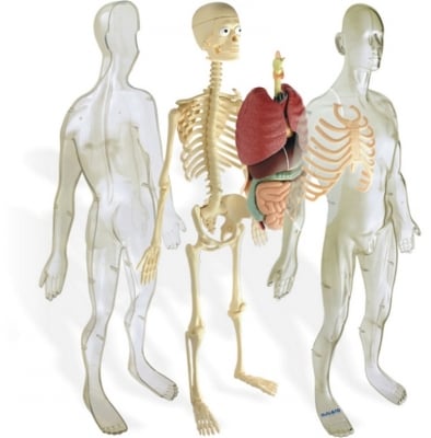 УТС и табла за начално, основно и средно образование