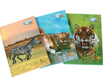 Блок-нот, бележници, тефтерчета