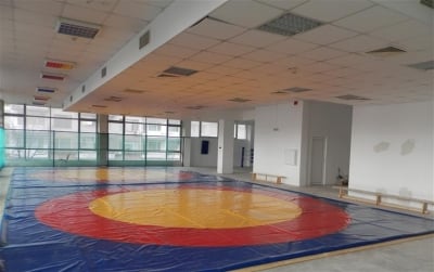 Пособия за борба