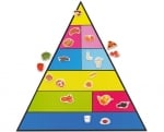 Пирамида магнитна Здравословно хранене + 50 цветни храни