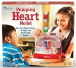 Модел на работещо сърце