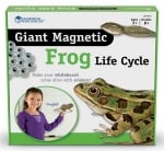 Комплект Цикъл на развитие на жаба, магнитен