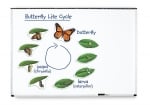 Комплект Цикъл на развитие на пеперуда, магнитен
