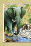 Книга за джунглата, Ръдиард Киплинг, изд.Пан