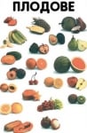 Табло  “Плодове“ 53х77см, изд.Гея Либрис
