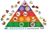 Нашата пирамида на здравословното хранене-АЕ