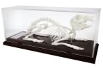 Модел - Скелет на заек