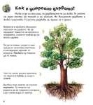 Моята първа енциклопедия за: Гората (Златното пате)