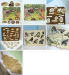 Комплект Жива природа