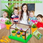 Мини научна оранжерия за растения