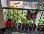 Декор - Пеперуда, 40х50см (червена)